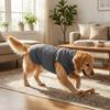 Elastic Dog Anxiety Vest Reflective Warm Dogs Calming Jacket Windproof with Hoodie Dog Soothing Clothes