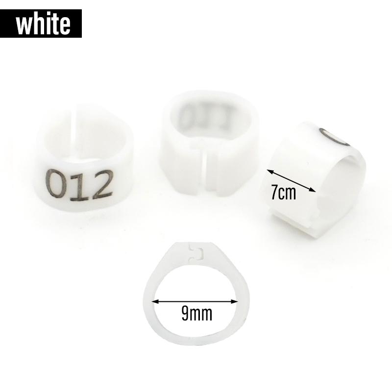 100 Piezas Nuevos Anillos para Patas de Paloma Identificar Bandas para Palomas 8 mm Clip de Plástico para Loro Anillo Digital para Pie Suministro para Entrenamiento de Palomas Aparatos para Pájaros