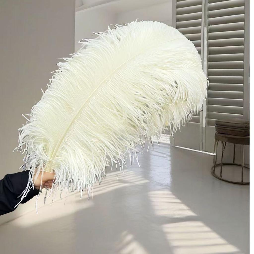 1pcs Ostrich Hair 65-70Cm Photo Feather Wall Wedding Road Guide Decorative Props Colored Feathers