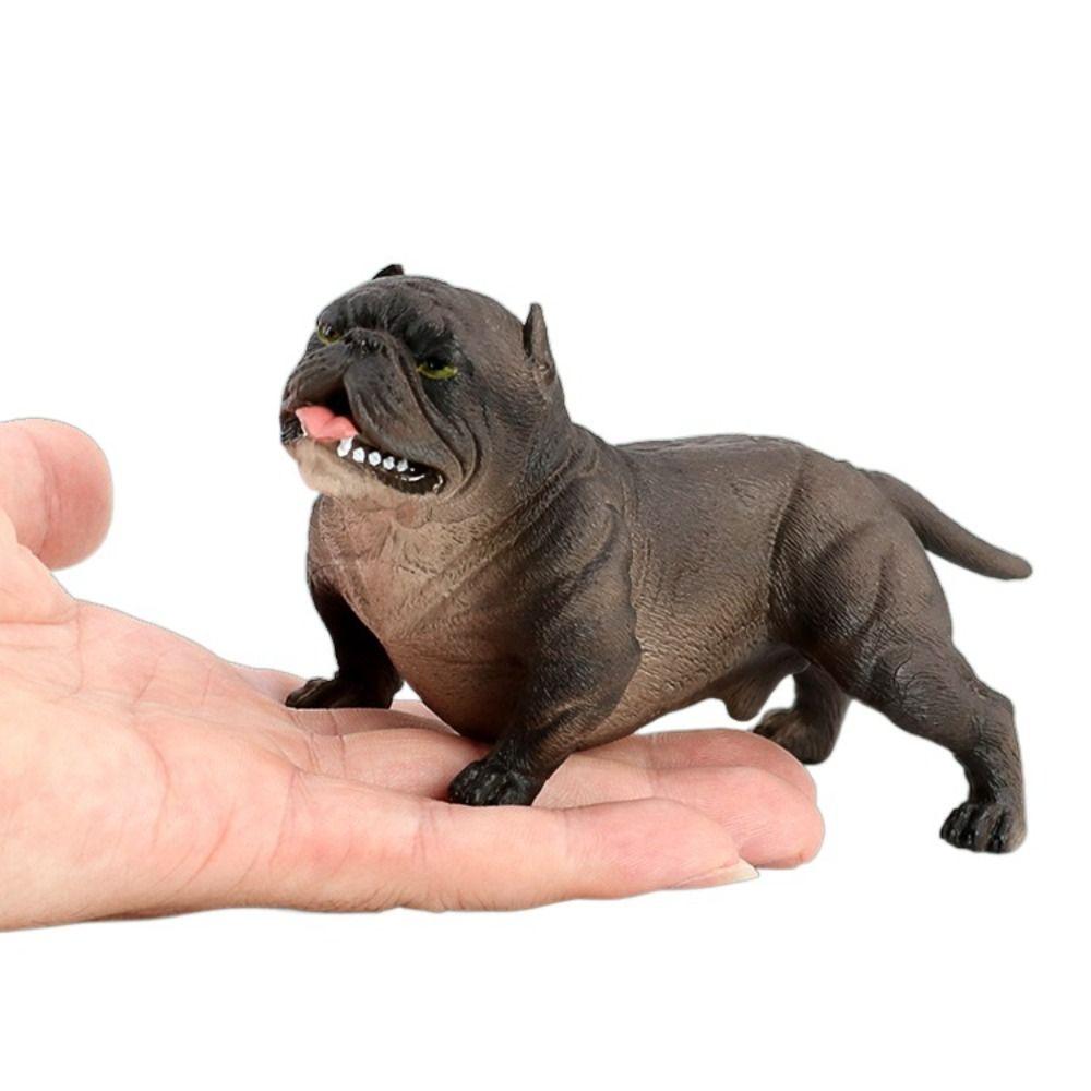 Animal Model Simulation Bulldog Educational Pitbull Figurine Children Toys Bulldog Model  Kids Toy