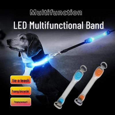 LED Blinkendes Haustierhalsband & Leine Set