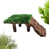 Reptile – Terarii pentru reptile