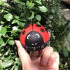 Ladybug Mechanical Timer 360 Degree Rotating Kitchen Countdown Clock Productivity Timer Cute Desk Decor for Cooking Studying