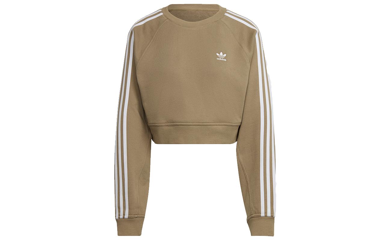 Adidas Originals ADICOLOR CLASSICS Sweatshirt Women s Olive H43923 34