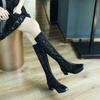 Women's Low-heeled Net Boots Spring and Summer New Thick-heeled Net Boots Sexy Versatile Large-size Guy Cool Boots