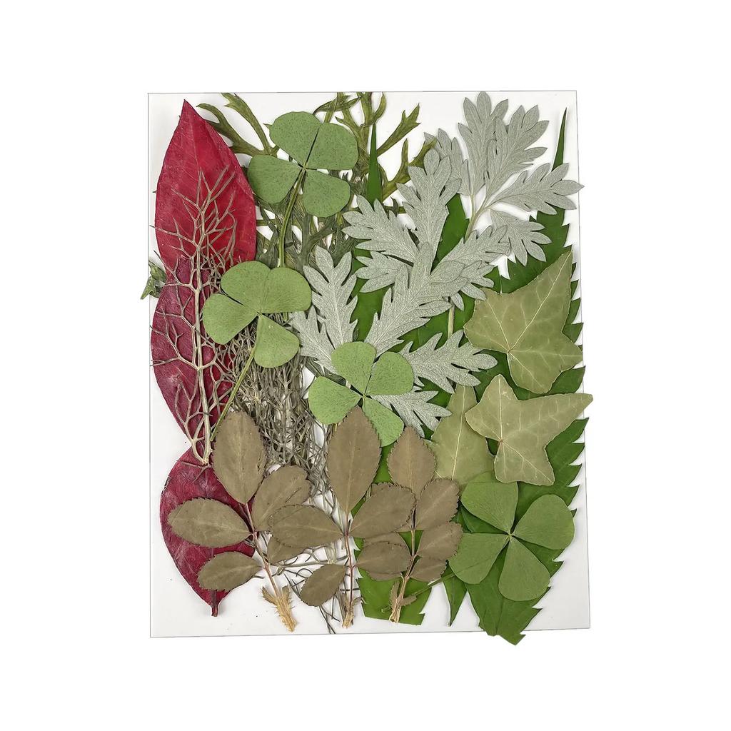 25PCS Dried Flowers Set for DIY Resin Pendant Making Filling Pressed Real Natural Flowers Leaves for Bookmark Phose Case Making
