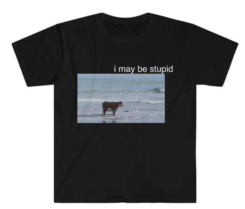 Blank plain casual T-shirt XL