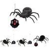 Remote Control Spider Toy With Plastic Material For Kids Age 7 To 14