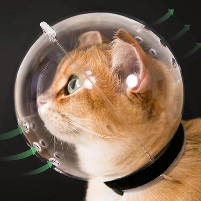 Kedi – Kedi bakım ürünleri