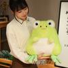 Cartoon Cute Frog Doll Plush Toy Green Little Frog Doll Children Soothing Rag Doll Birthday Gift