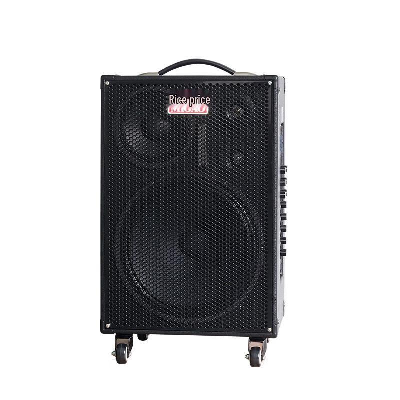 MIGAO MG1263A-Li 250W Portable Instrument Speaker System