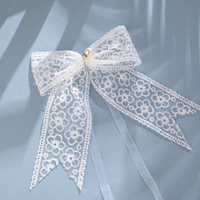 2Pcs/set Lace Bow-knot Curtain Tieback Clip Simple Tied Belt Window Curtain Buckles Exquisite Curtain Strap
