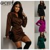 Women's Fashion Autumn Winter Solid Color Print Long Sleeve POLO-Neck Casual Dresses
