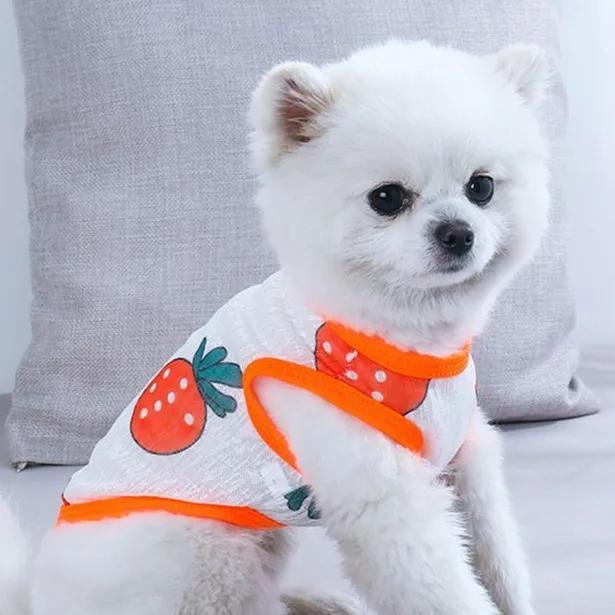 Atmungsaktive dünne Weste für kleine Hunde, ärmellose T-Shirts für Welpen, Katzenkleidung, Sommerkleidung im Freien, Sonnenschutz für Haustiere, Hundehemden