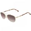 Carrera Brown Gradient Pilot UniSex SunglaSSeS Carrera 224 S 0j5g Ha 58 Gold