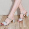 Fashion Hot Selling Summer New Fashion Korean Edition Women's Sandals Round Toe Thick Heels Fish Mouth Middle Heel Sandals for Women