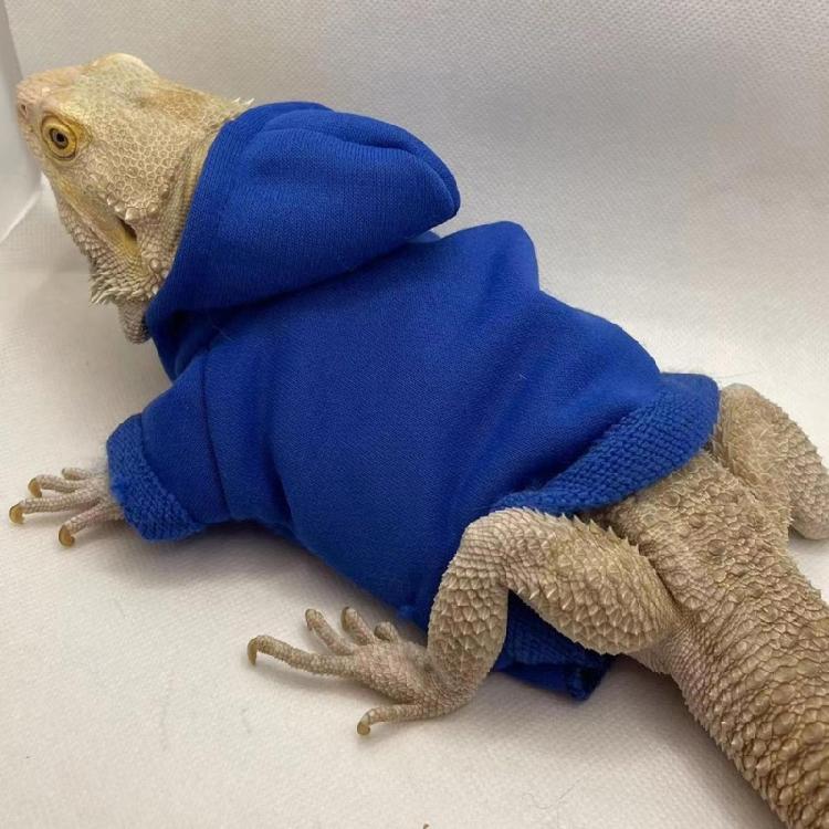 Bearded Dragon Warm Coat Soft Touching Hoodies for Reptiles Geckos Amphibians
