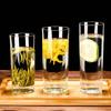 ZISIZ Tempered Glass Drinking Cup