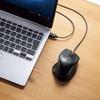 SANWA BLC180 Ergonomic Type-C Wired Mouse