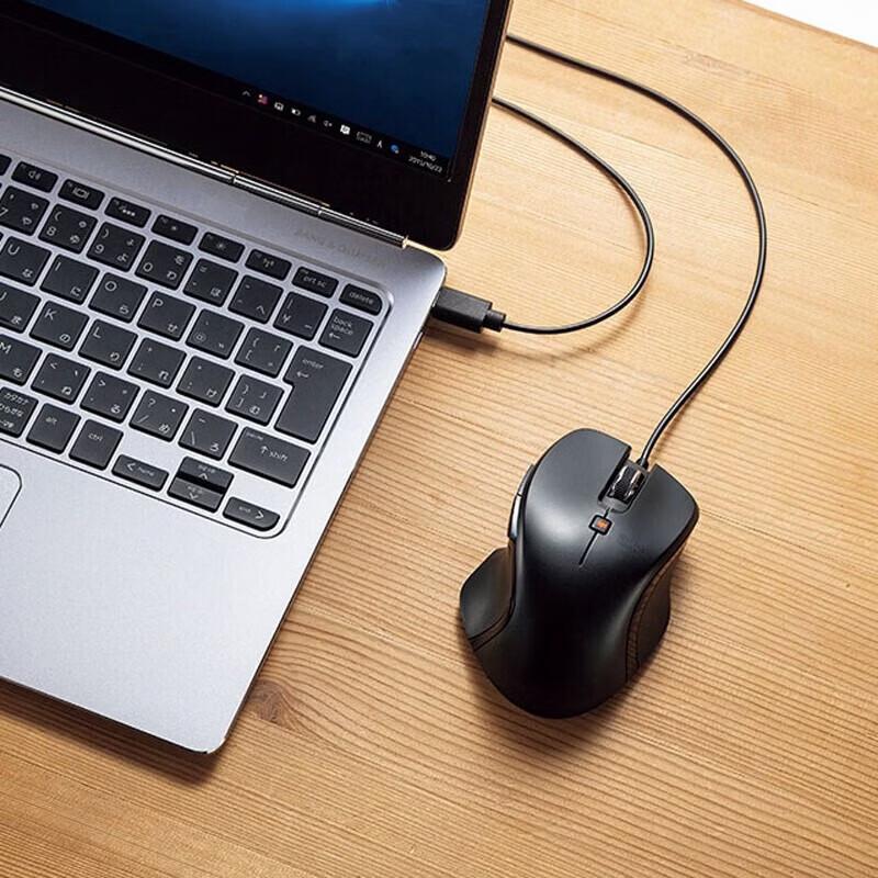 SANWA BLC180 Ergonomic Type-C Wired Mouse