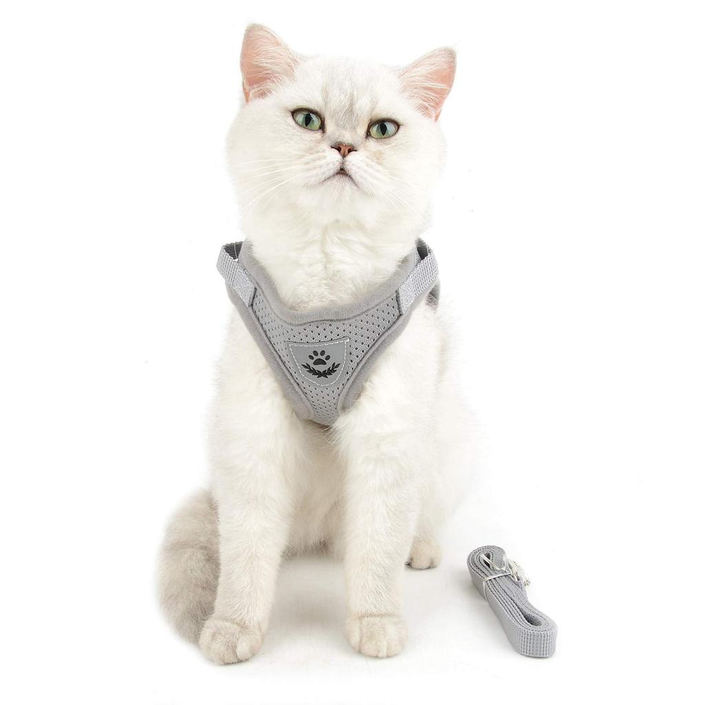 RANPHY Cat Harness and Leash Cute and Suitable for Dogs and with Reflective Stylish No Leg Lift Breathable Easy to Put Adjustable Escape Small L Set,