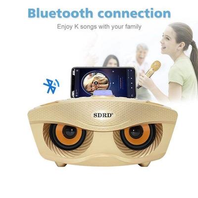 SD306 Rodzina mikrofonów Przenośna karta dźwiękowa KTV Bezprzewodowy mikrofon bezprzewodowy na żywo Zintegrowany dźwięk Bluetooth
