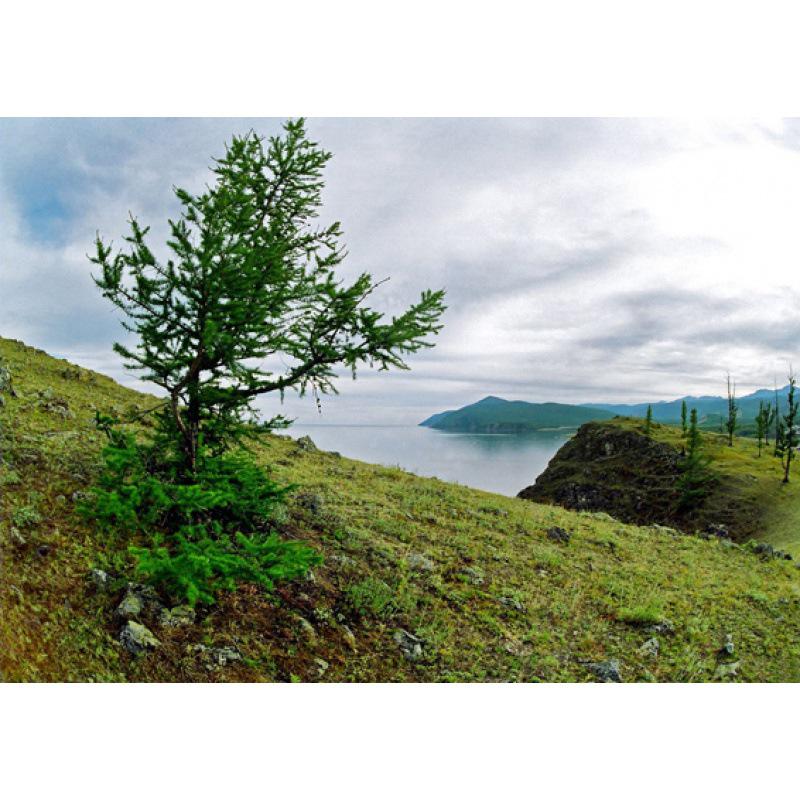 Siberian Scenery Poster: Kraft Paper Framed Wall Art