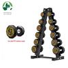 Weiye Evergreen 105kg Decagonal PEV Dumbbell Set with A6 Rack