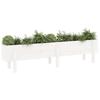 VidaXL Raised Garden Bed White 160x30x38 Cm Solid Pine Wood 825192
