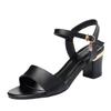 Women's Plus Size Chunky Heel Sandals, Retro Minimalist Style with Single Buckle Strap Daily Casual Footwear