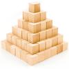 Enkrio Wood Cubes, Building Blocks, Set of 100 Wooden Blocks for DIY Crafts and Decoration, Unfinished Natural Wood Cubes, Unpainted