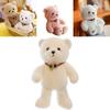 Lucky Teddy Bear Plush Toy For Girls Soft And Cuddly Stuffed Animal For Birthday Gift