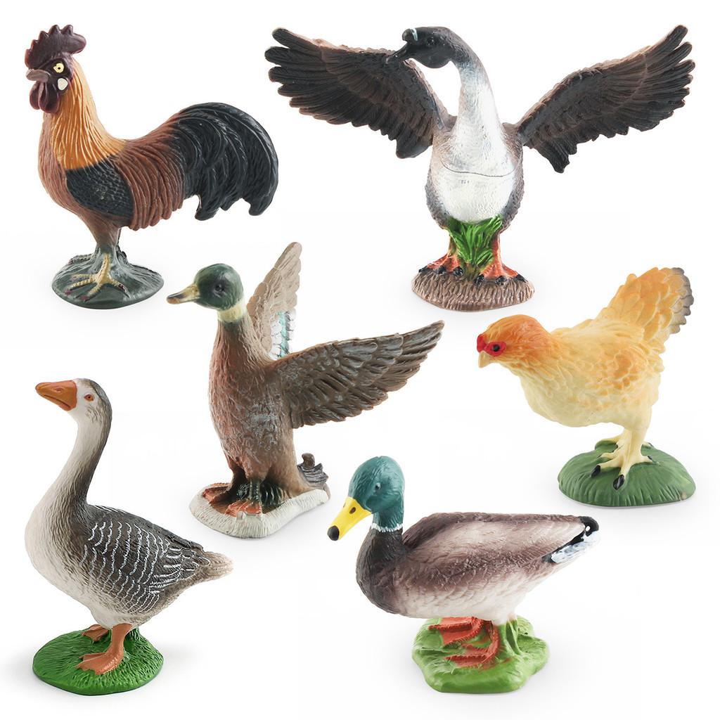Farm Animal Chicken Duck Goose Pvc Model Set For Kids Education And Decor With Realistic Bird Figures