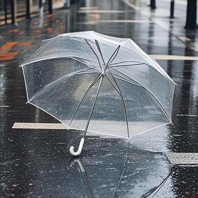 Butterfly Transparent Long Handle Umbrella