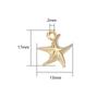 50Pcs/Lot CCB Starfish Shape Pendants Gold Color Charm Loose Spacer Beads for Jewelry Making DIY Bracelet Necklace Supplies