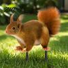 Garden Ornaments for Outdoor Spaces Realistic Squirrel Stake, 2D Flat Acrylic Yard Art Vivid Shape Lawn Decor Cute Ornament Patio Pathway Decoration