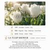 Hetras Premium Long-Lasting Home Fragrance Reed Diffuser Set 500ml × 3