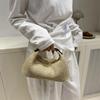 Raffia Straw Woven Clutch Purse Hobo Dumpling Women Handbag Summer Beach Grass Braided Solid Color Evening Bag KTB
