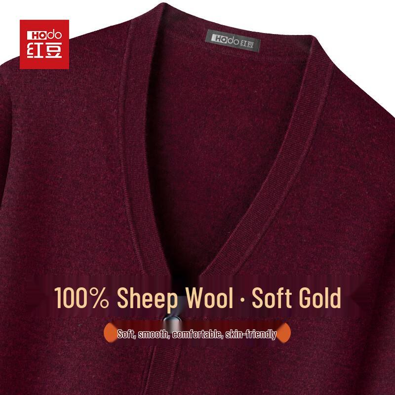 Hodo Men's 100% Pure Wool V-Neck Cardigan