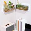 Wall Hanging Aquariums Tanks Office Wall Fish Tanks Wall Mounted Fish Bowl for Modern Home Decoration
