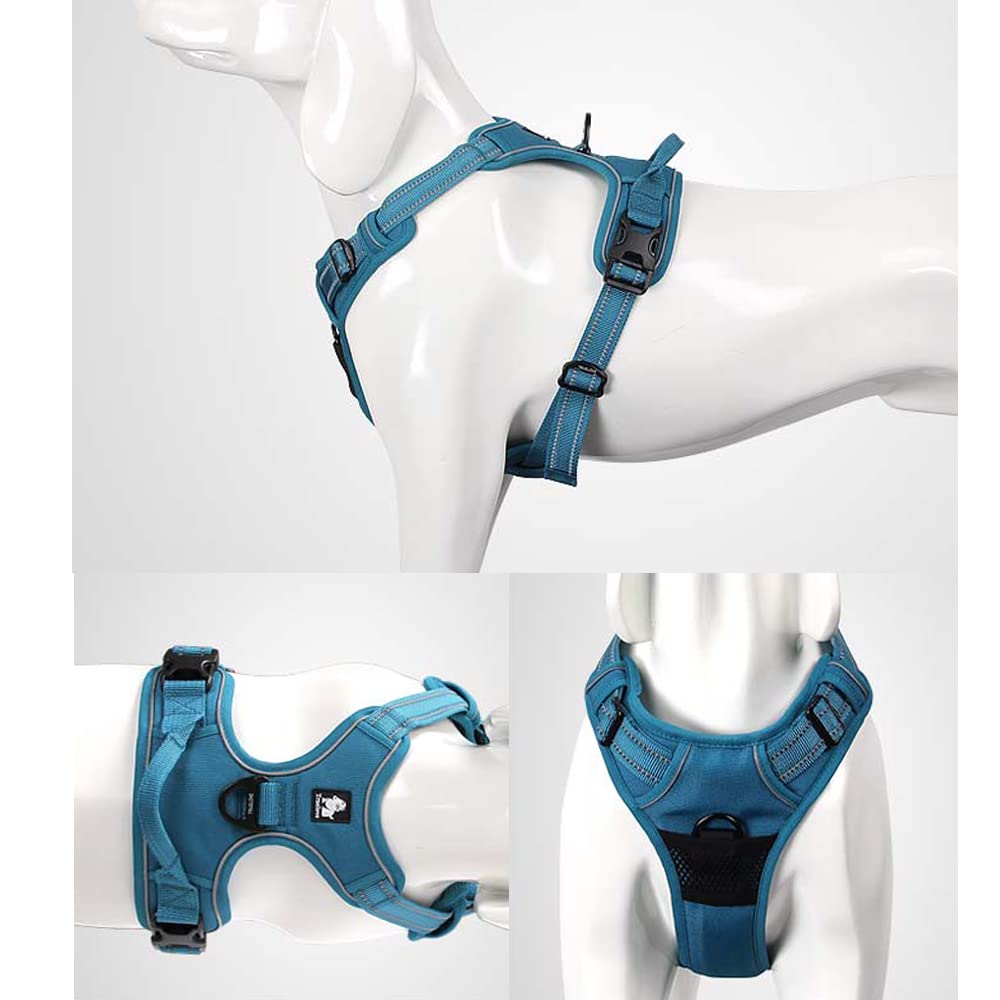 Paradise Classic Dog Official Japanese Popular Dog Easy to Put 3M Walking TRUELOVE J&C Harness, Store, Harness, on, Breathable, Adjustable,