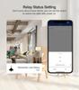 Graffiti WiFi Smart Switch with Alexa and Dual Remote Control Timer