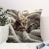 1pc Cute Kitten Pillowcase Suitable for Bed Sofa Cushion Cover, Zipper Closure & Machine Washable Contemporary Kitten Print with Zipper Closure, Singl