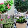 4pcs Plastic Plant Support Pile Frame Greenhouse Arrangement Semicircle Fixed Rod Indoor Flower Plant Vine Climbing Bracket