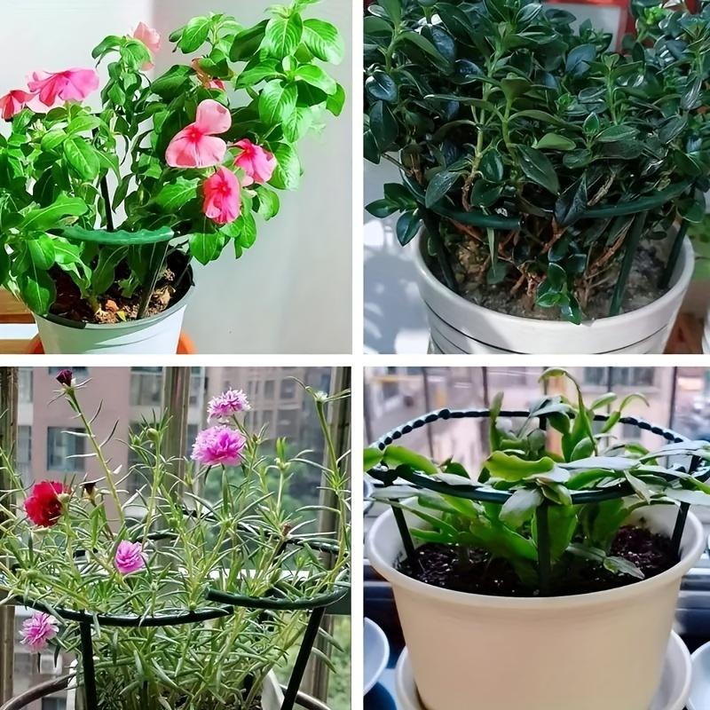 4pcs Plastic Plant Support Pile Frame Greenhouse Arrangement Semicircle Fixed Rod Indoor Flower Plant Vine Climbing Bracket