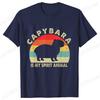 Capybara Is My Spirit Animal Shirt Animal Lover Tee Capybara Lover T-Shirt Vintage Graphic T-shirts Funny Anime Unisex Tshirts
