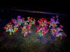 LED Solar Butterfly Garden Light - Colorful Flower Decoration Lamp