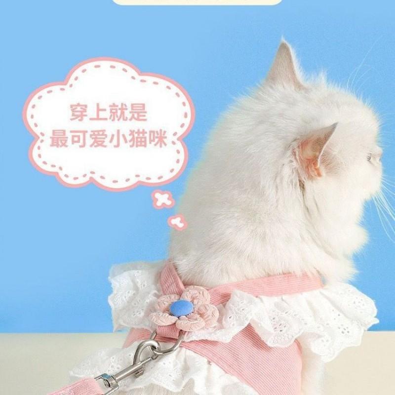 Imbracatura Regolabile per Gatti con Set di Guinzaglio - Carina Pettorina per Animali Domestici in Stile JK da Gatti Piccoli a Grandi Design Anti-Fuga