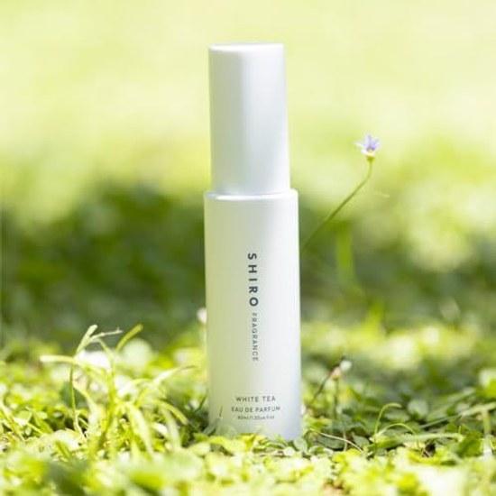 SHIRO White Tea Eau de Parfum 40mL Fragrance
