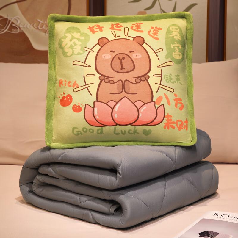 2-in-1 Convertible Pillow Blanket